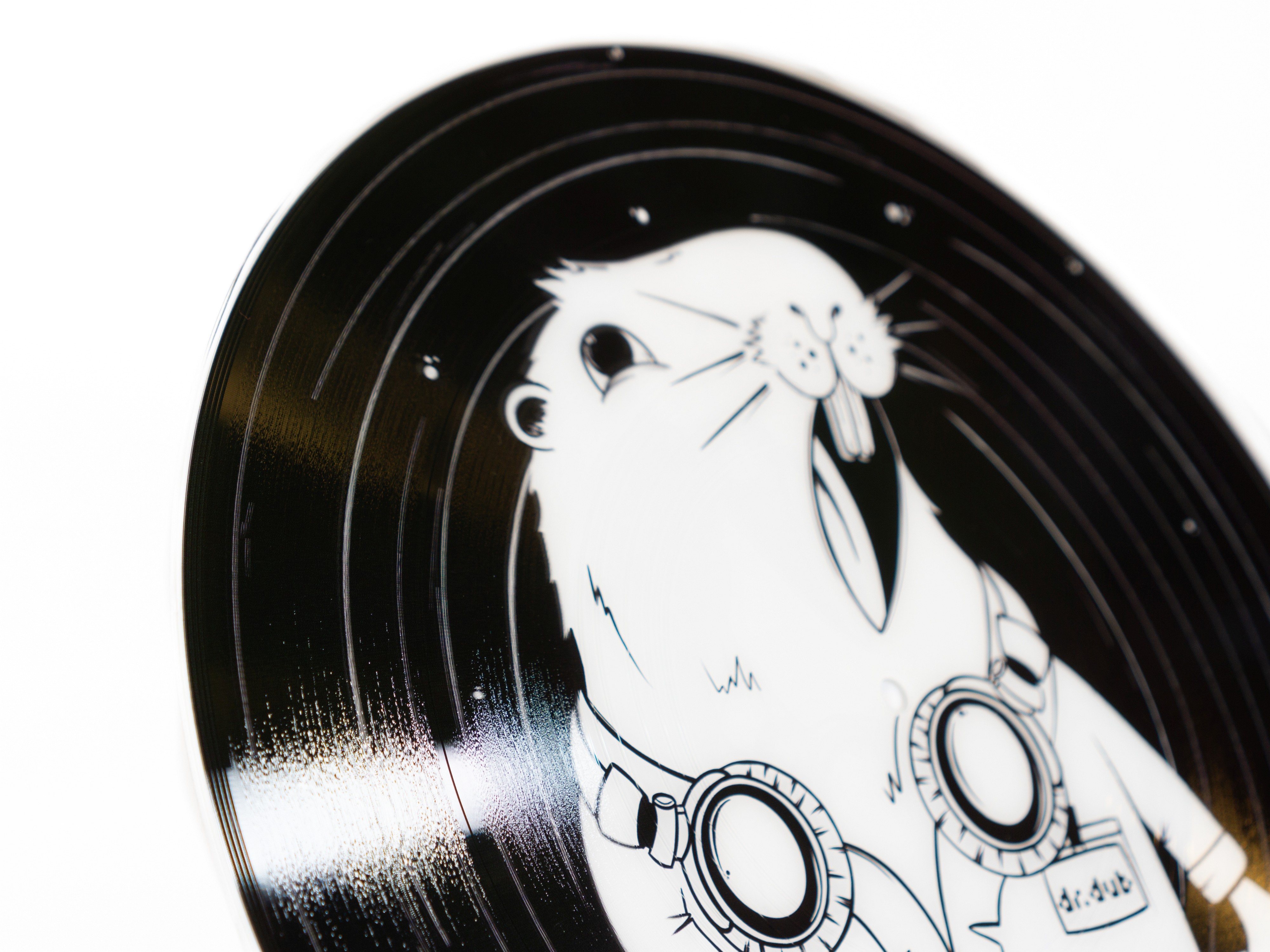 Außergewöhnliche Picturedisc